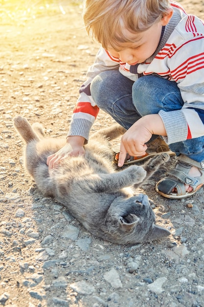 Cute preschooler boy with blond hair plays with grey domestic cat in country yard