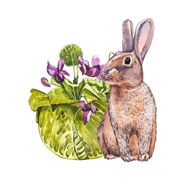 Cute rabbit animal watercolor illustration