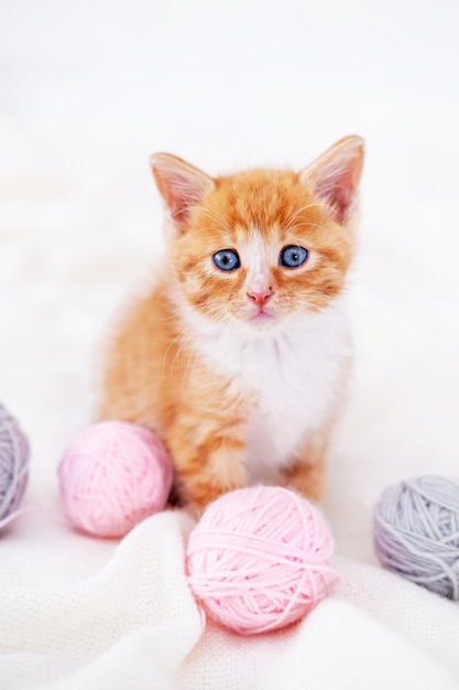 Cute red kitten cat with pink and grey balls skeins of thread on white bed vertical