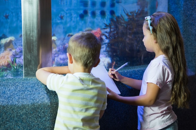 Cute siblings looking at fish tank