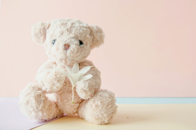 Cute teddy bear holding flowers on pink background