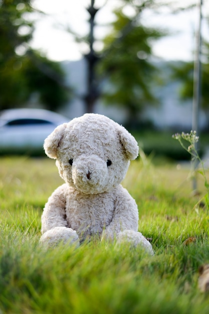 Photo cute teddy bear in park. concept relaxation in the garden