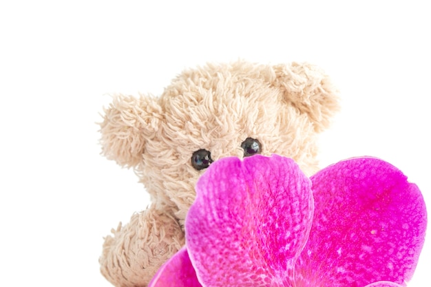 A cute teddy bear toy is sitting with fresh orchids in a glass vase.