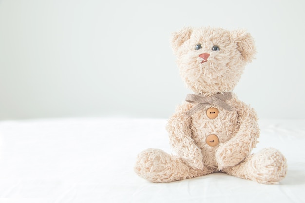 Cute teddy bear on white color background 