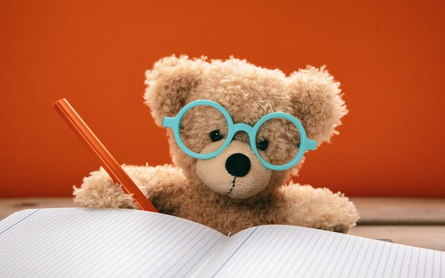 Cute teddy wearing glasses doing homework Back to school