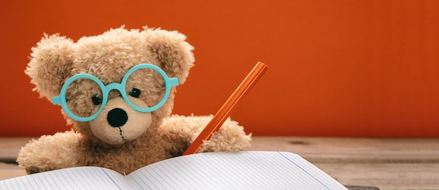 Cute teddy wearing glasses doing homework banner