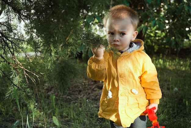 Cute toddler boy making faces touching tree branch Kid walking outdoors in spring