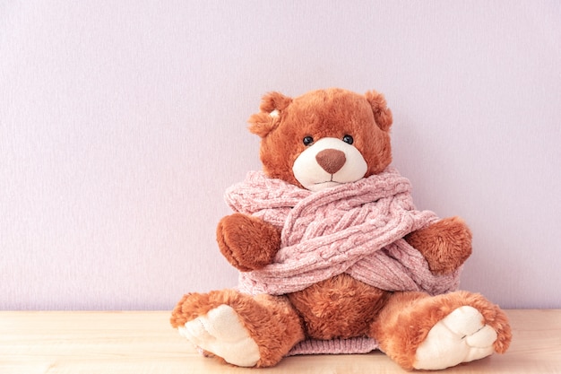 Cute toy teddy bear in pink knitted sweater sitting on shelf at home.