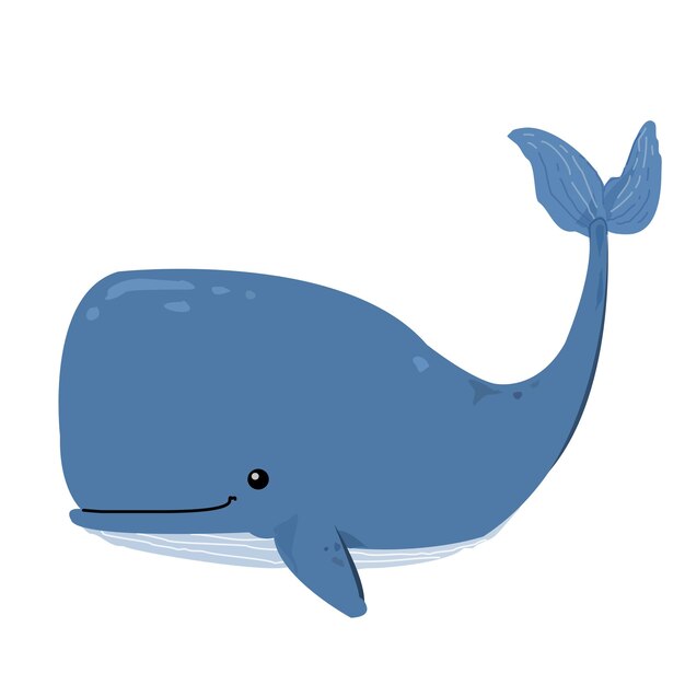 Cute whale cartoon illustration