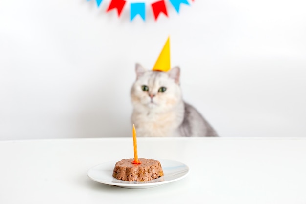 A cute white cat in a yellow paper cap sits at a white table with a canned cat cake with a candle and licks his lips