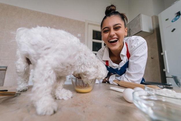 Cute white Maltese dog sniffing meal on the table