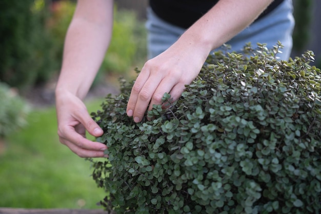 A cute woman and her gorgeous plant