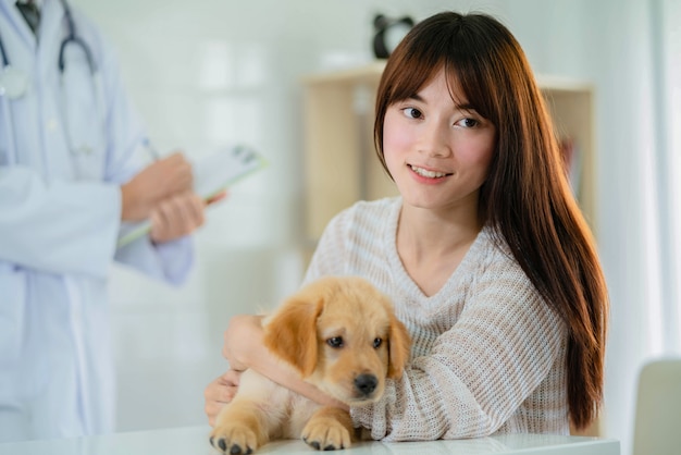 Cute woman with golden retriever puppy at the vet