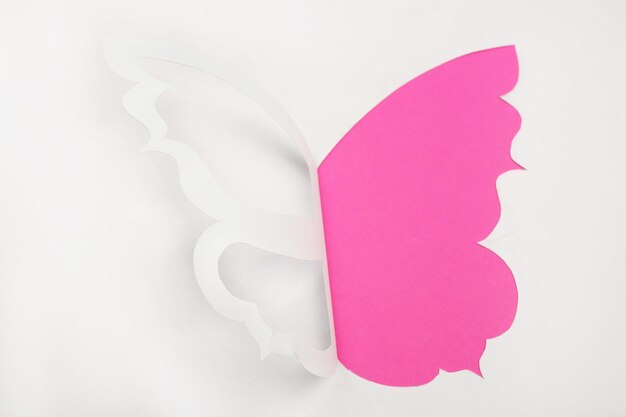 Cutout paper butterfly as greeting card