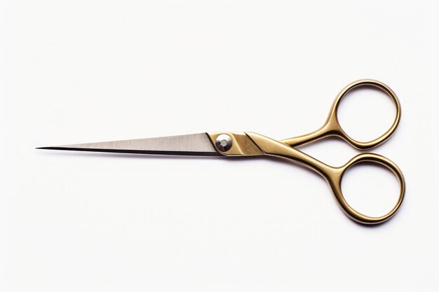 Cutting Edge The Essential Guide to Scissors in Every Craft Isolated On White Background