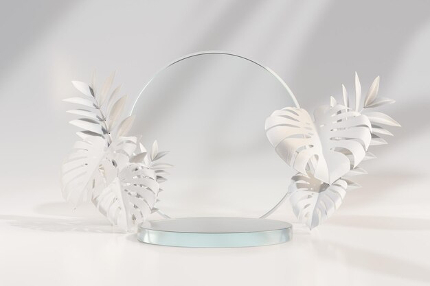 Cylinder clear glass podium with circle glass white leaf branch in light theme