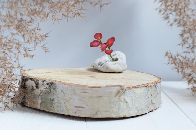 Cylindrical wooden podium on a white background with pampas grass and a red sprig in stone A stage for the demonstration of a natural product a showcase