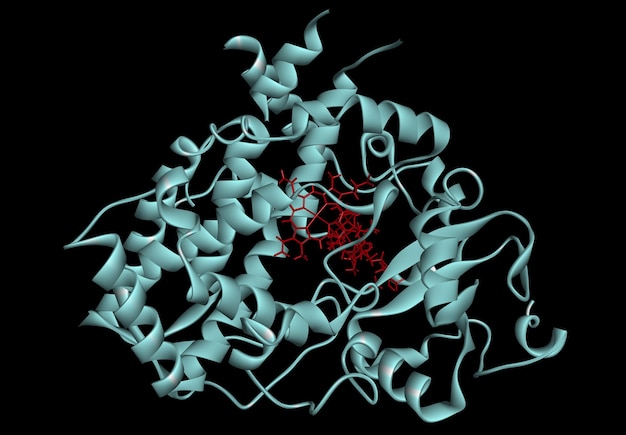 Cytochrome P450 molecule CYP 3A4 Molecular model 3D rendering Illustration