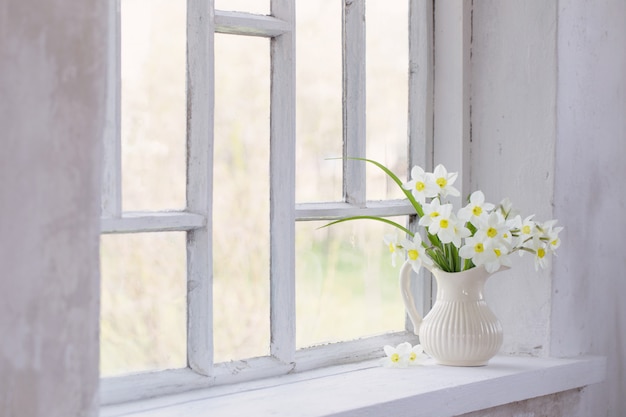 Daffodils in jug on windowsill