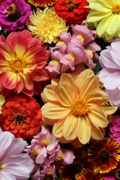 Dahlias and snapdragons as a floral background bright natural backdrop texture bouquet top view