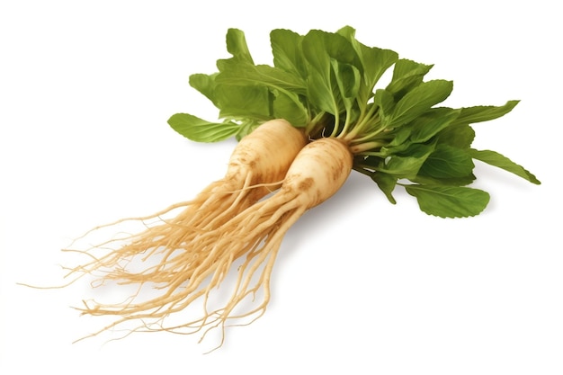 daikon on a bright clean background