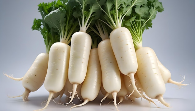 Daikon radish