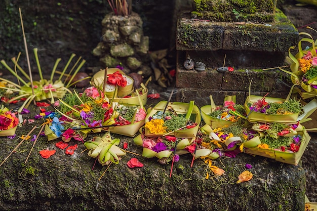 Daily offerings canang sari is very important in Bali Indonesia