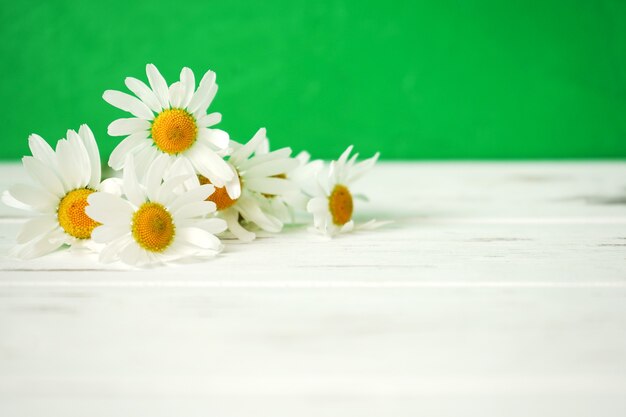 Daisies on wooden table