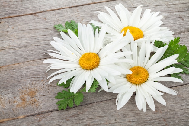 Daisy camomile flowers on wooden table background