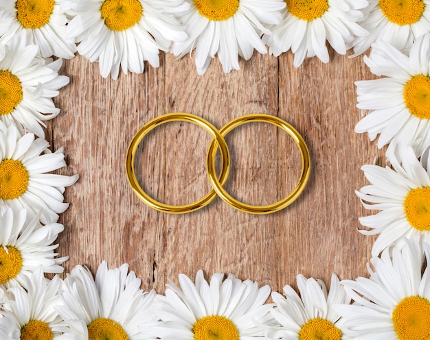 Daisy chamomile flowers with rings