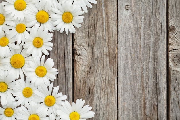 Daisy chamomile flowers on wood