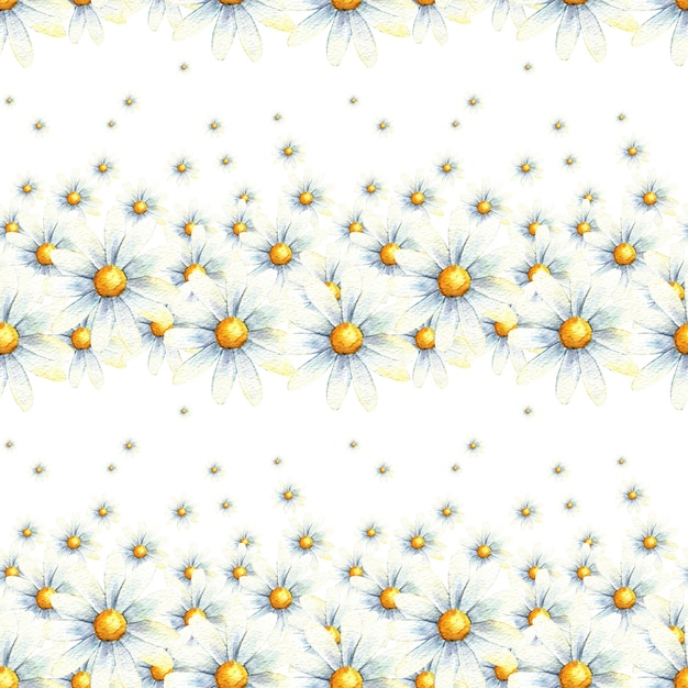 Daisy chamomile seamless pattern watercolor template background