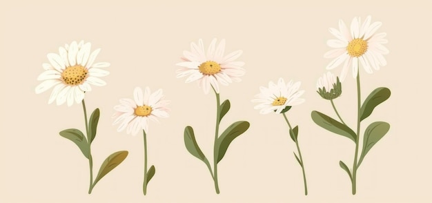 Photo daisy flower bouquet vector illustration set isolated on beige background showcasing various growth stages generative ai