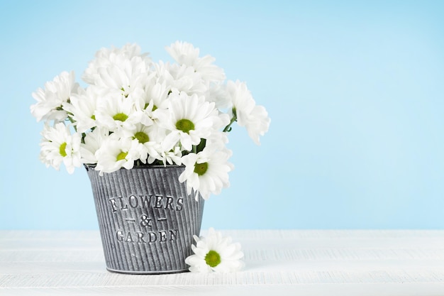 Daisy flowers bouquet