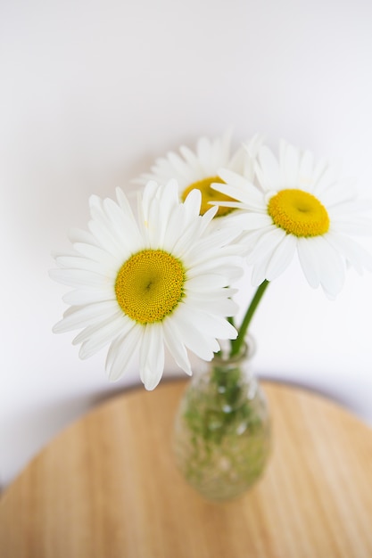 Daisy flowers in a vase on a wooden table.