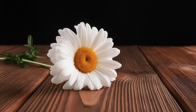 a daisy on a wooden table