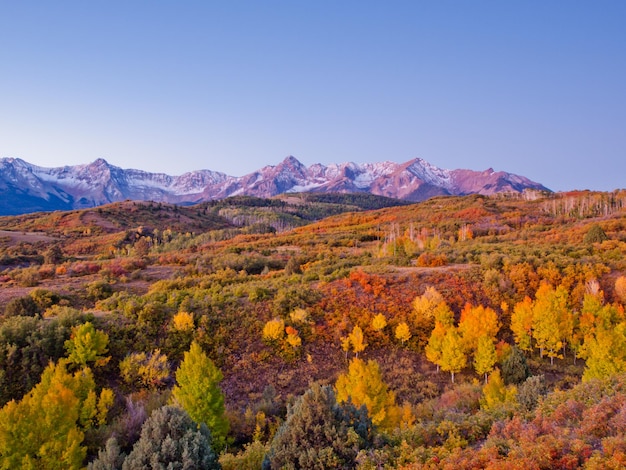 The Dallas Divide is a Colorado icon, well known for its vivid fall colors produced by scrub oak and aspens.