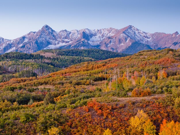 The Dallas Divide is a Colorado icon, well known for its vivid fall colors produced by scrub oak and aspens.