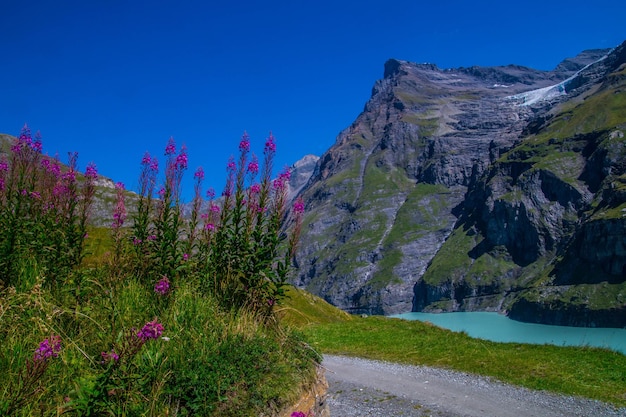 Dam mauvoisinvalaisswiss