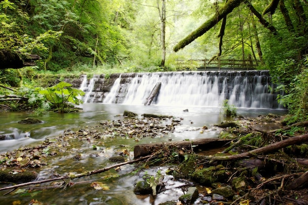 dam wall in the Gauchach gorge, side canyon of the nature reserve Wutachschlucht in the Schwarzwald, Baden-Wurttemberg, Germany