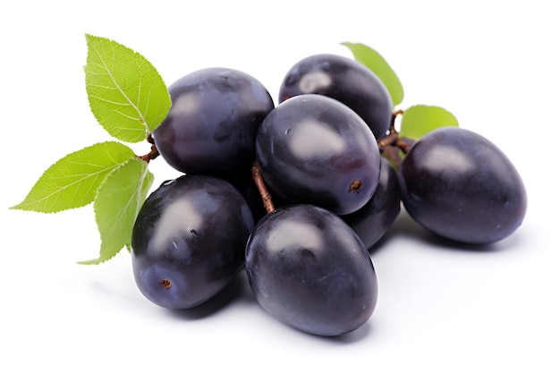 Damson isolated on white background