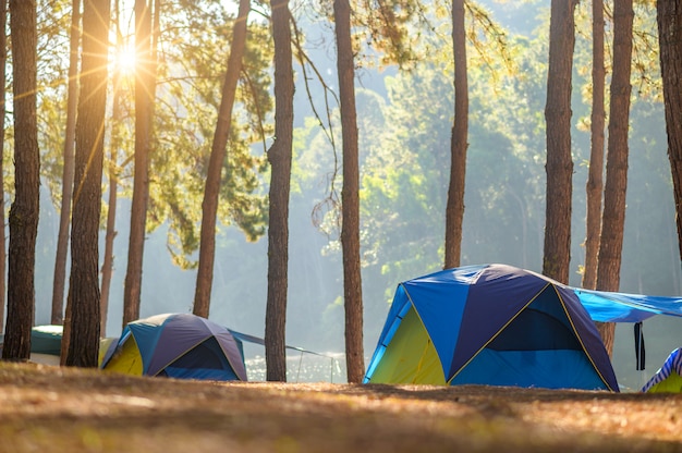 Dancing camping in Pang Ung forest, Mae Hong Son province, Thailand