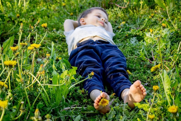 Dandelion baby legs spring sunny weather