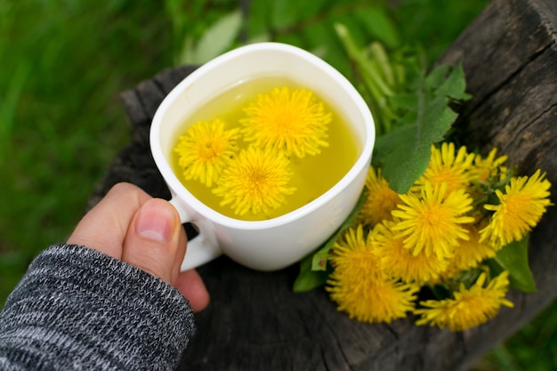 Photo dandelion flower tea infusion in white cup close up