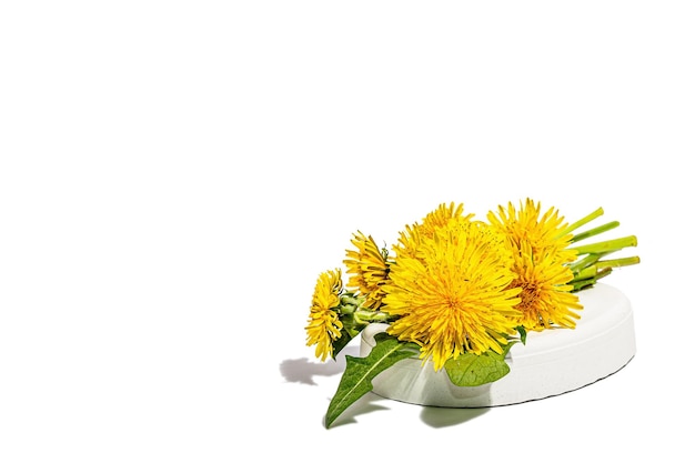 Dandelion flowers bouquet on trendy stand isolated on a white background Springtime concept