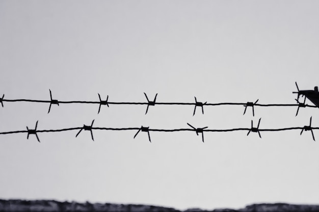 Dangerous barbed wire to demarcate the prison camp black and white effect