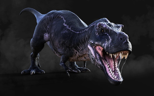 Dangerous Tyrannosaurus Rex Acts and Poses Isolated on Black Background with Clipping Path