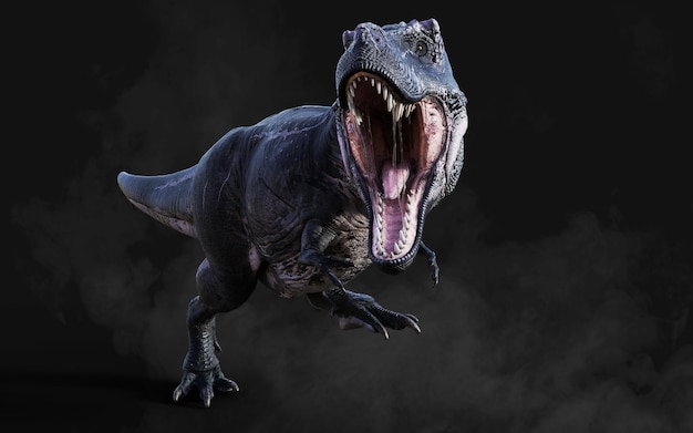 Dangerous Tyrannosaurus Rex Acts and Poses Isolated on Black Background with Clipping Path