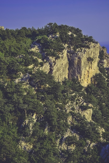 Dark background cliff mountain with trees