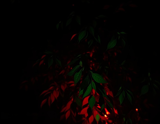 Photo dark background with green leaves glowing in the darkness creating an eerie and mysterious atmosphe